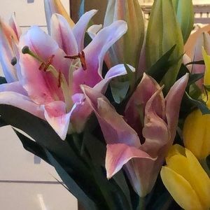 Meet your Posher, Christine